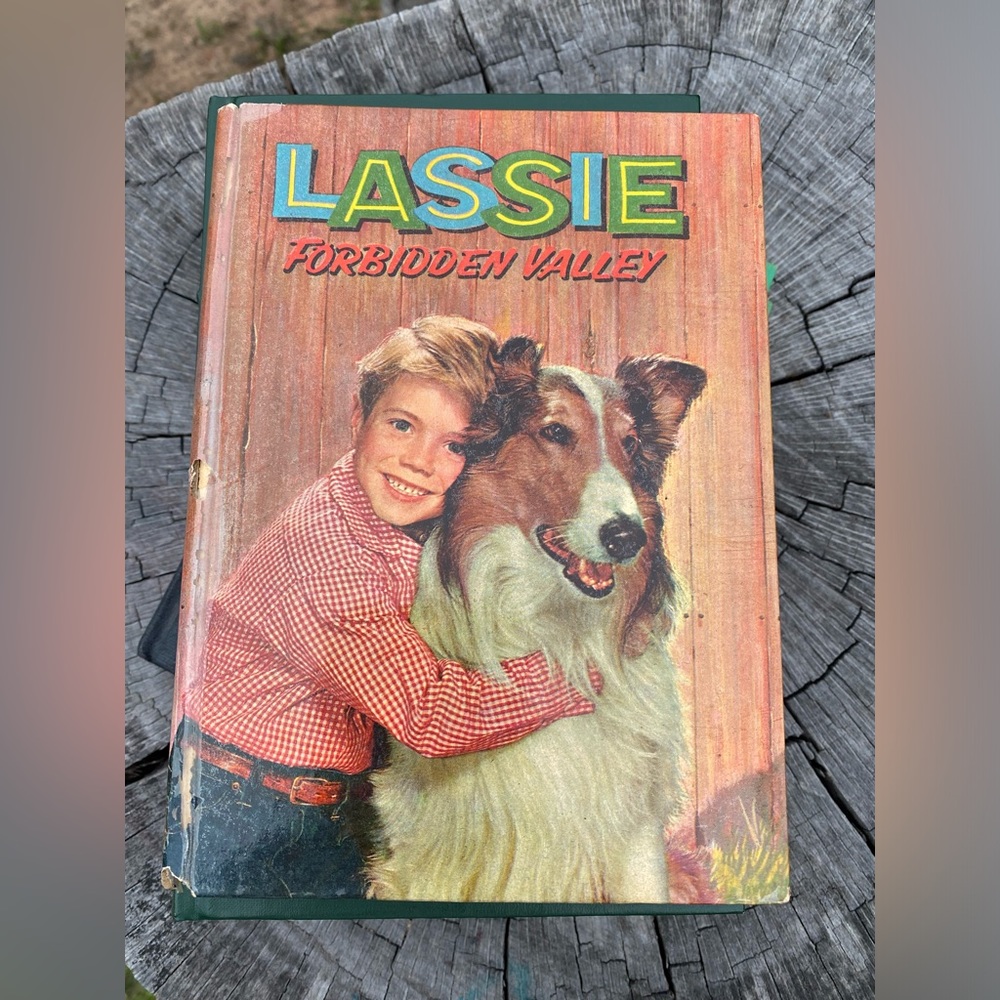 Set of 4 books. - Picture 5 of 9